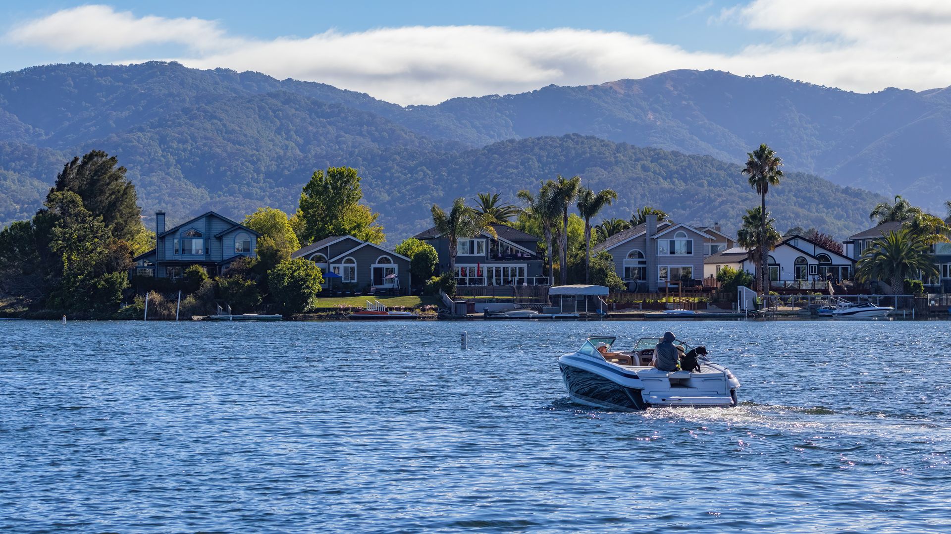 Peaceful lake scene with modern homes and a motorboat on a sunny day.
