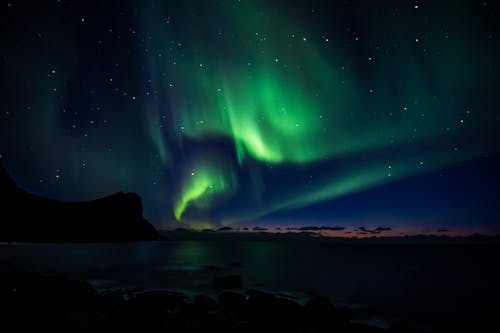Free The Northern Lights in the Night Sky  Stock Photo