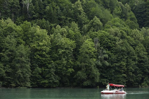 ağaçlar, göl, insanlar içeren Ücretsiz stok fotoğraf