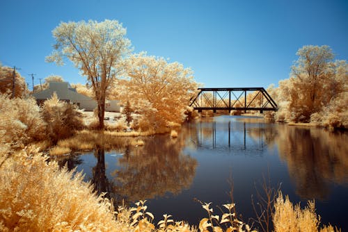 Kostnadsfria Kostnadsfri bild av bro, broar, flod Stock foto