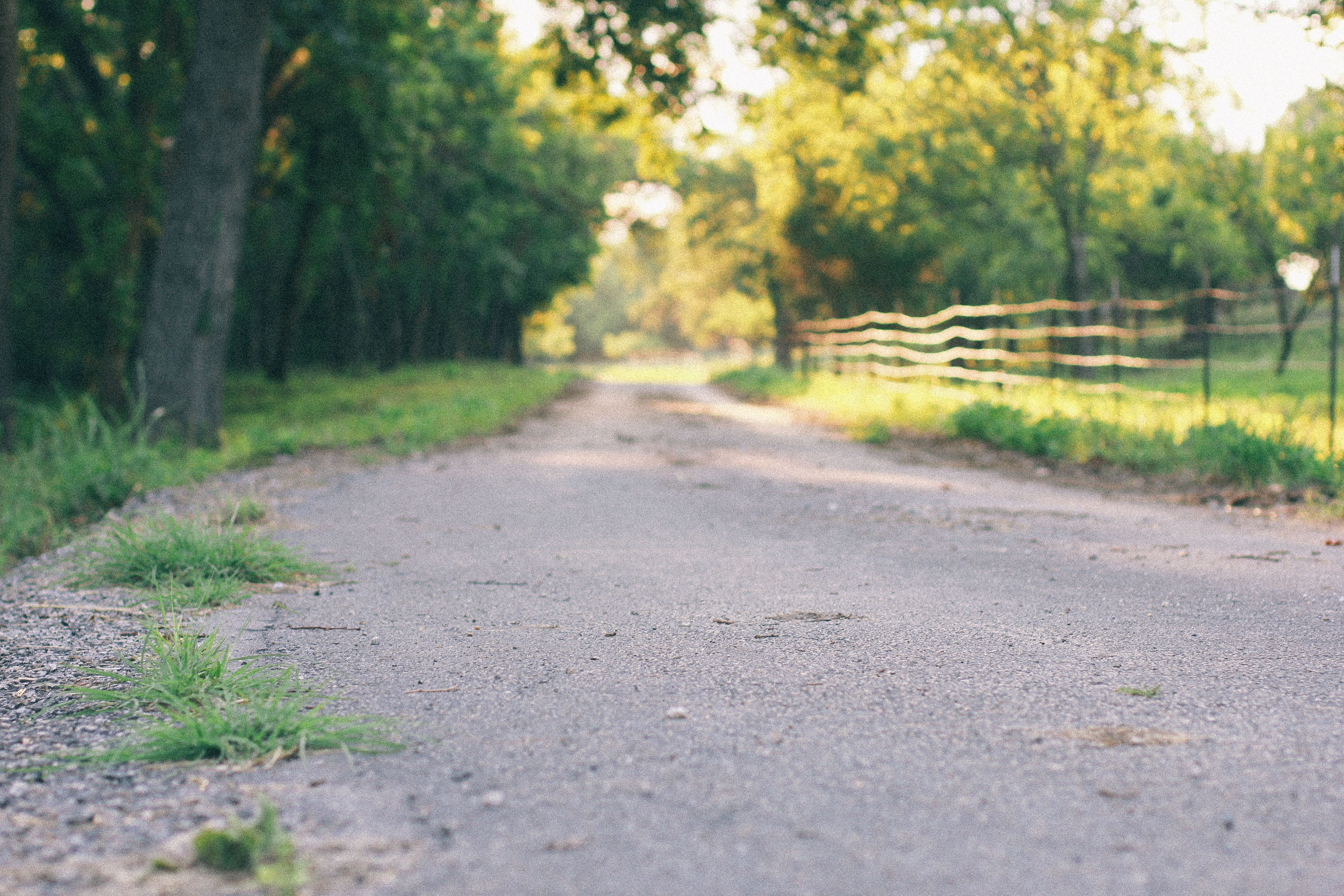 Peaceful rural road in Cedar Park with trees and fence, perfect for serene travel or nature themes.