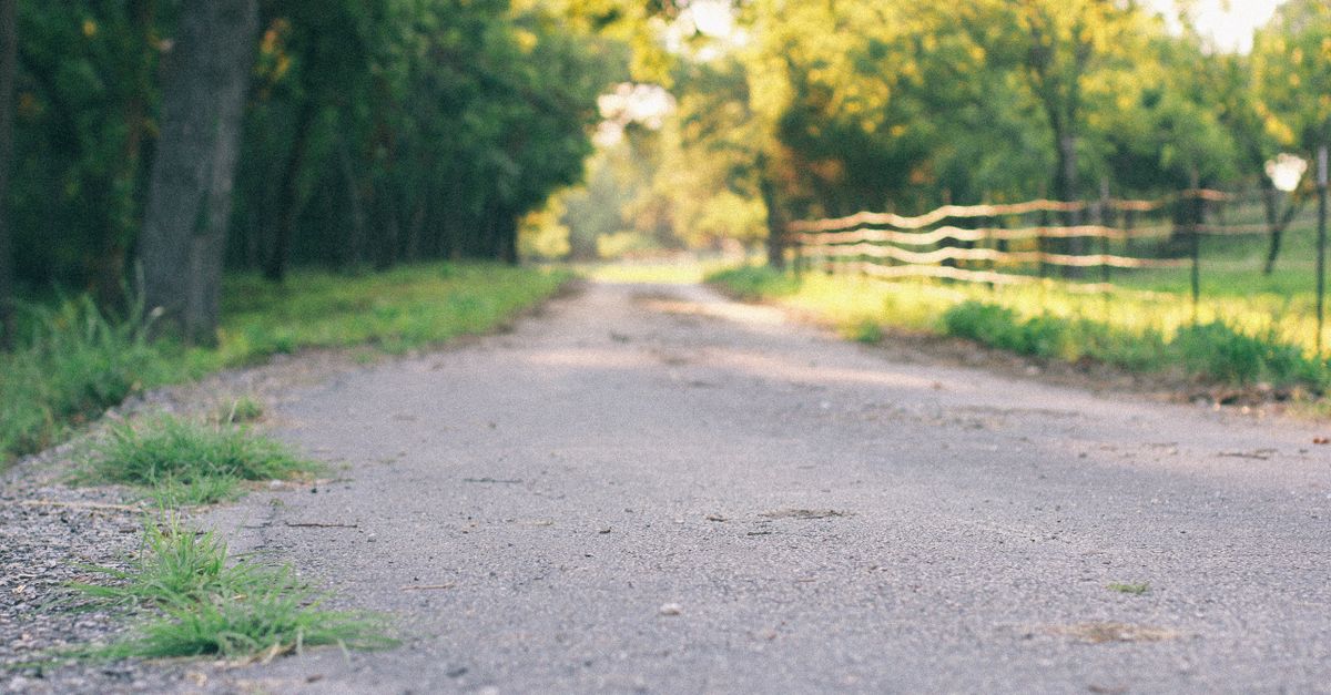 Peaceful rural road in Cedar Park with trees and fence, perfect for serene travel or nature themes.