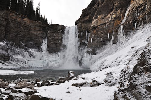 무료 감기, 강, 겨울의 무료 스톡 사진