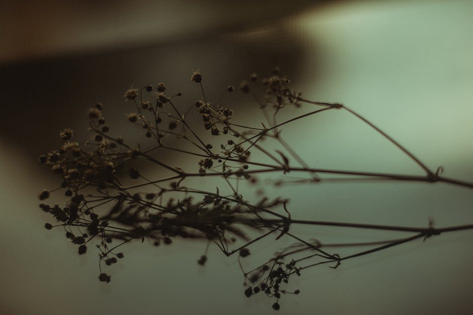 Closeup Photo of Withered Flower