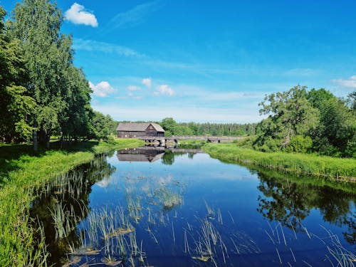 A Lake Surrounded with Green Trees Under Blue Sky