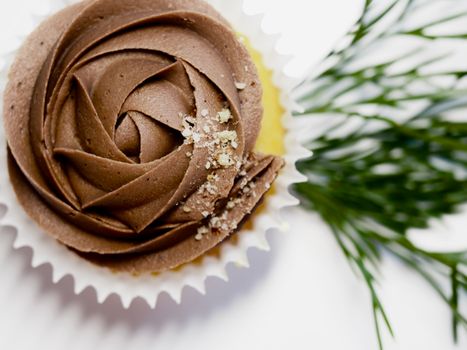 Close-up of a chocolate cupcake with intricate icing and a sprig of greenery, perfect for a sweet treat.