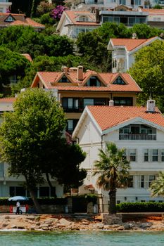 Charming coastal houses with lush greenery and scenic shoreline view.