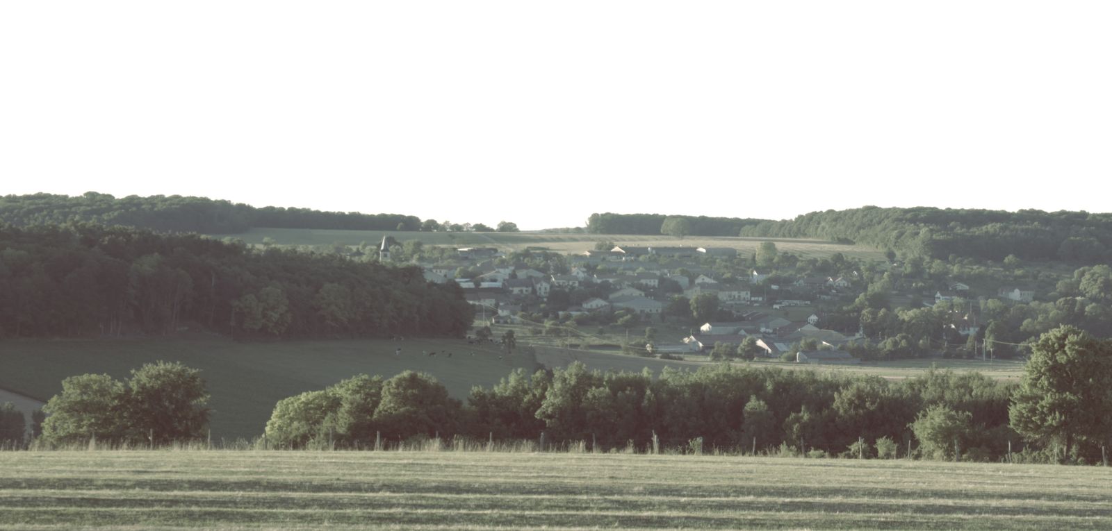 Avant