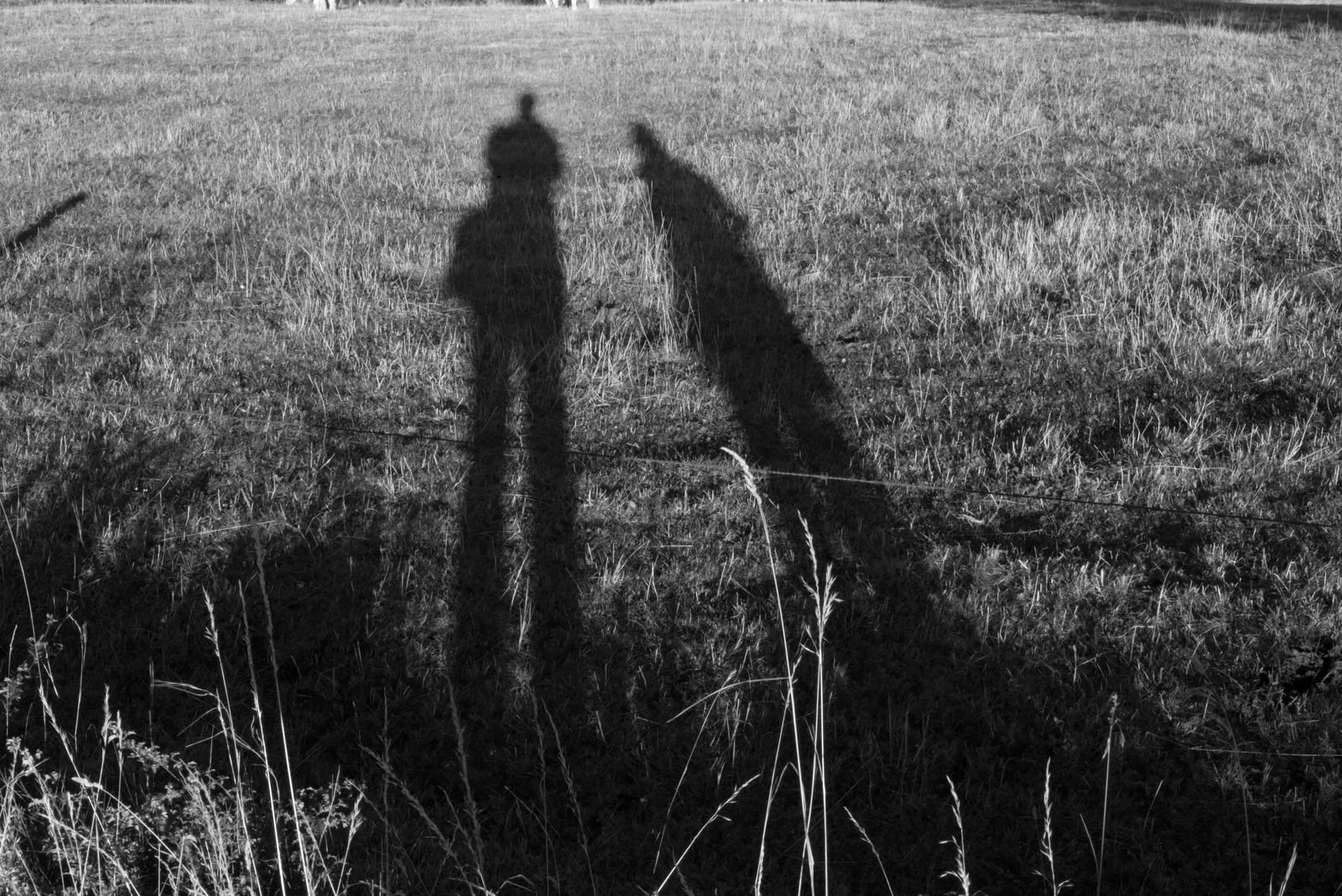 Sur et sous le fil