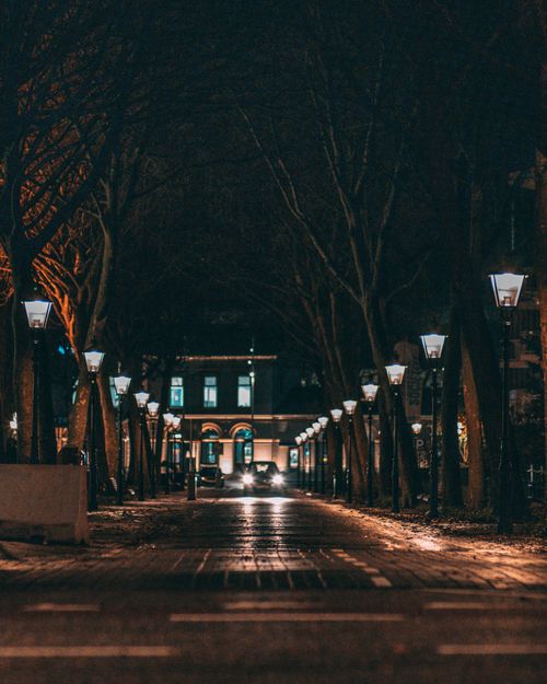 Free Night view of a tree-lined street in Zwolle, Netherlands, with ambient streetlights and a distant building. Stock Photo
