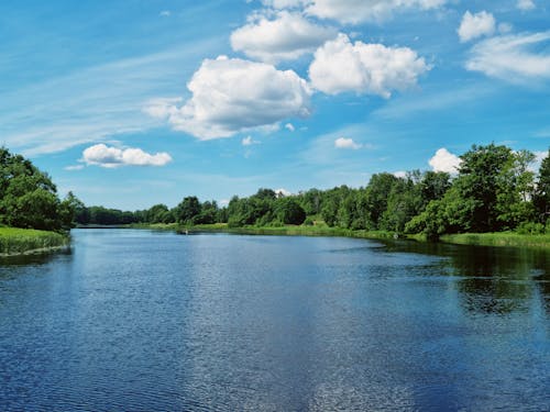 Kostenloses Stock Foto zu blauer himmel, fluss, grüne bäume