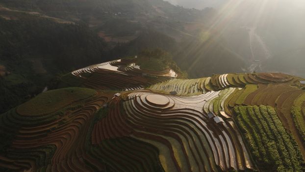 Aerial View of Terraces