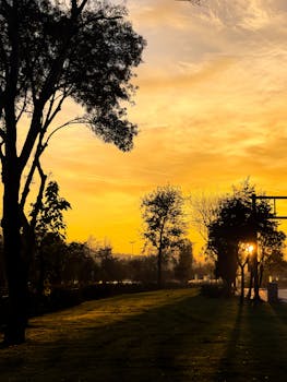 Tranquil scene of a sunrise illuminating trees and fields, ideal for nature lovers.