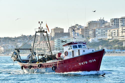 Immagine gratuita di barca da pesca, mare, modalità di trasporto