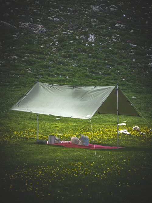 Free A tranquil camping setup in a green meadow beneath a protective tarp, surrounded by summer blooms. Stock Photo