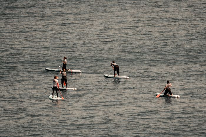 Location de paddle en mer