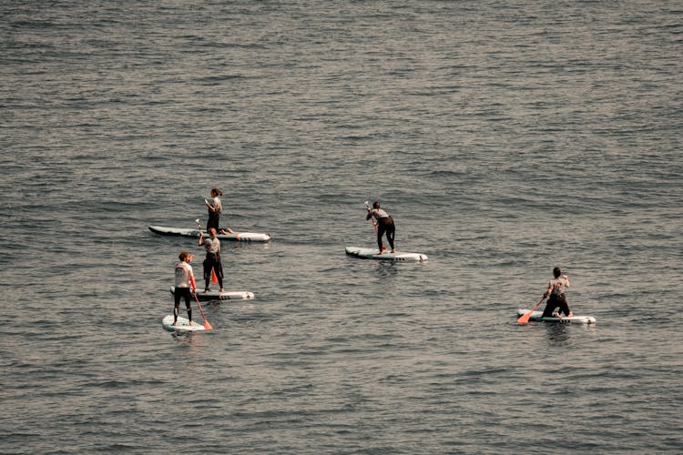 People Paddle Boarding At Sea