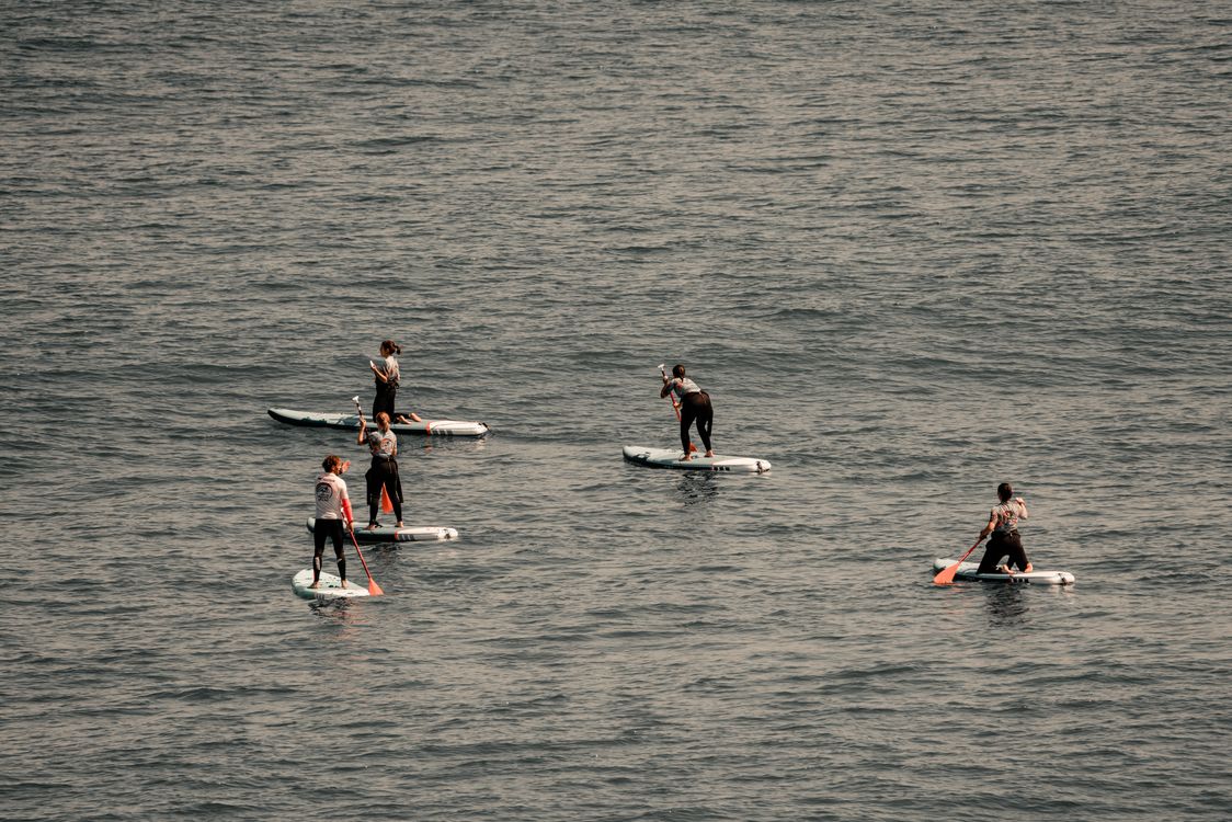 People enjoying stand-up paddle boards at sea