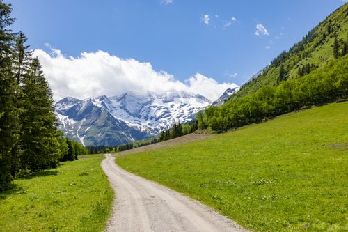 Free Breathtaking view of a dirt road leading to snowy mountains surrounded by lush forest. Stock Photo