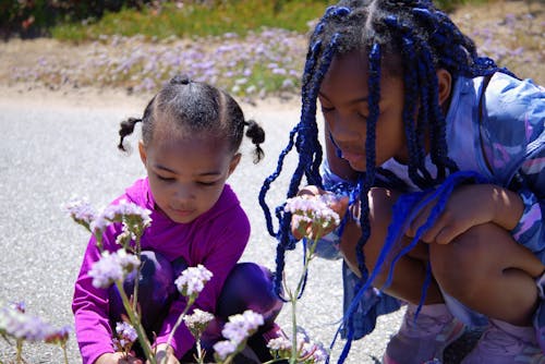 Gratis arkivbilde med afrikanske amerikanske jenter, blomst, blomster