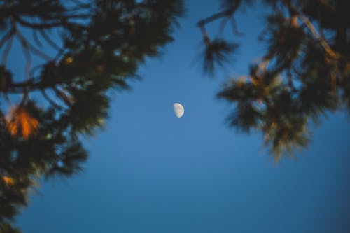 Безкоштовне стокове фото на тему «місяць, місячний, небо»