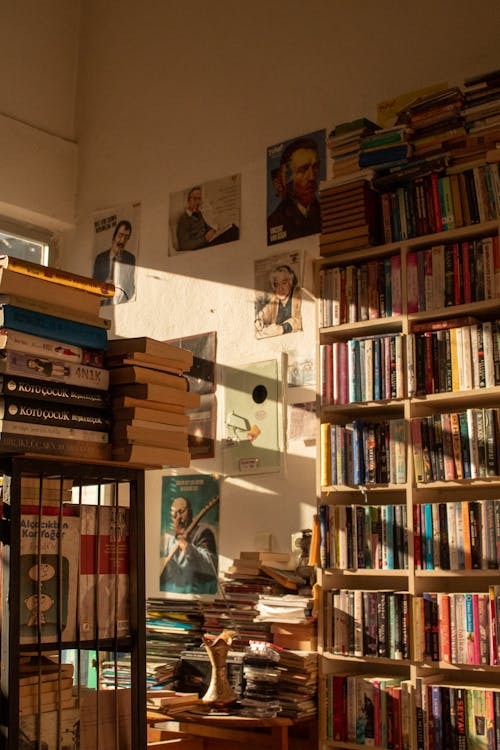 Books on Wooden Shelves