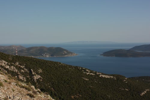 ağaçlar, deniz, deniz kıyısı içeren Ücretsiz stok fotoğraf