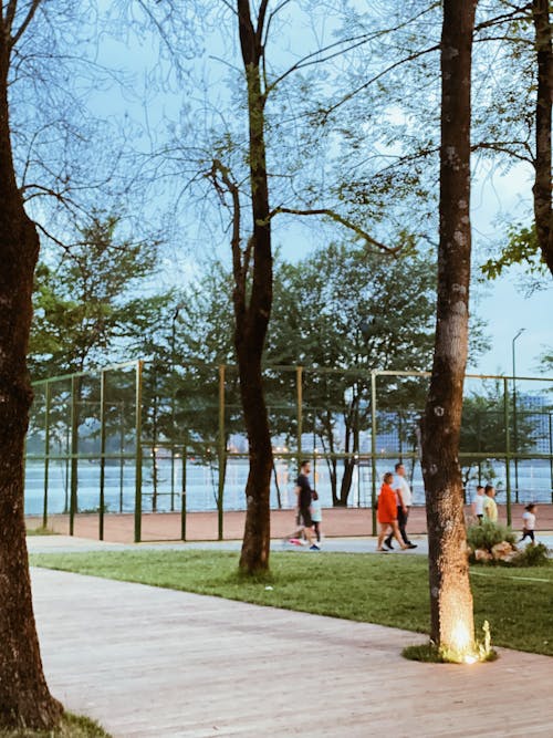 Free stock photo of albania, beautiful nature, children playing