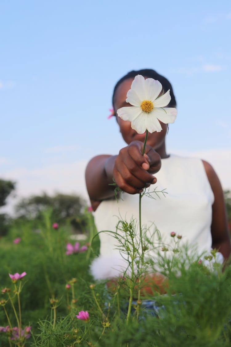 A Person Holding A Flower