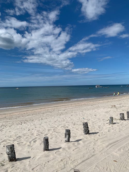 나무 기둥, 모래, 바다의 무료 스톡 사진