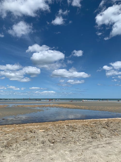 Seashore under Blue Sky