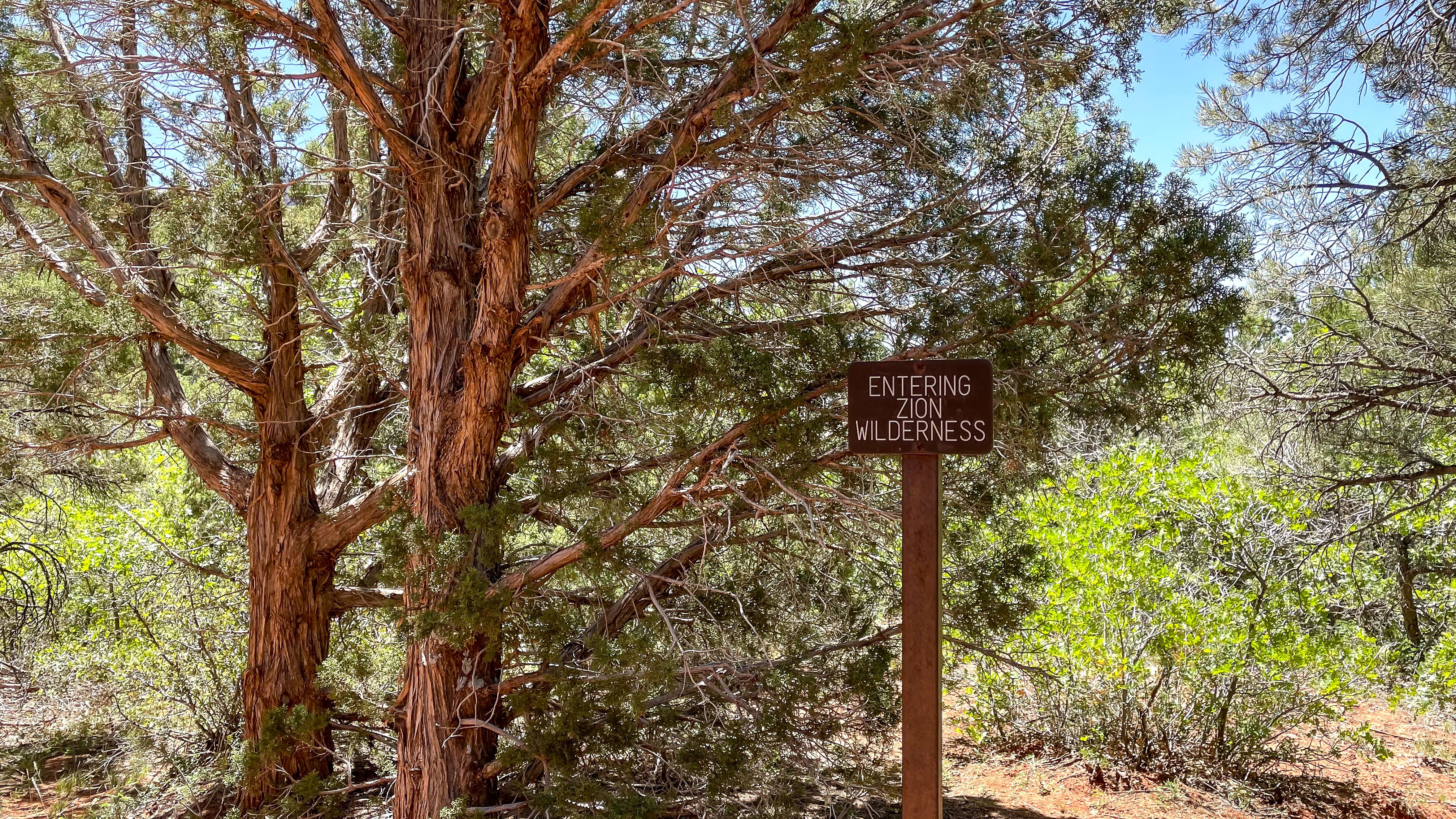 2026 Adventure Permit Systems: Digital Shifts, Booking Hacks
