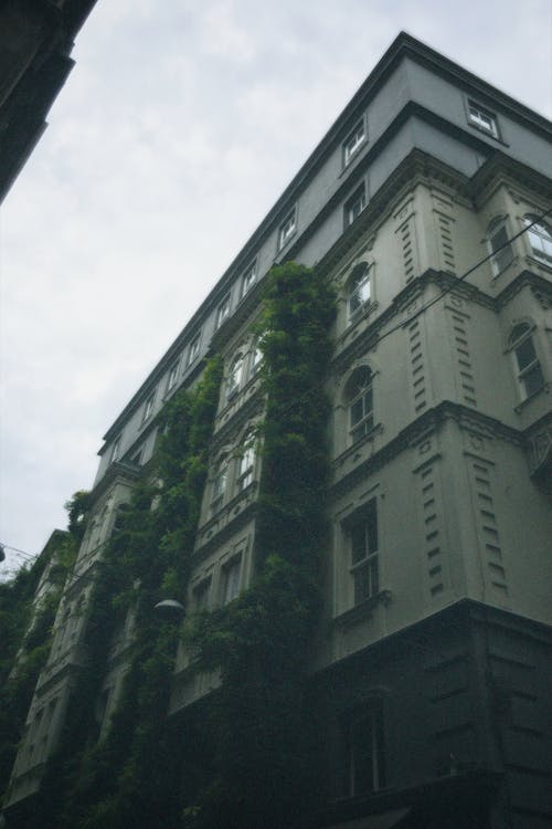 Low-Angle Shot of a Concrete Building