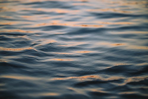 Close-up of Calm Water Surface on Sunset