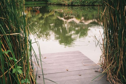 Free Serene lakeside scene in Cần Thơ, featuring a wooden deck and lush tall grass reflections. Stock Photo