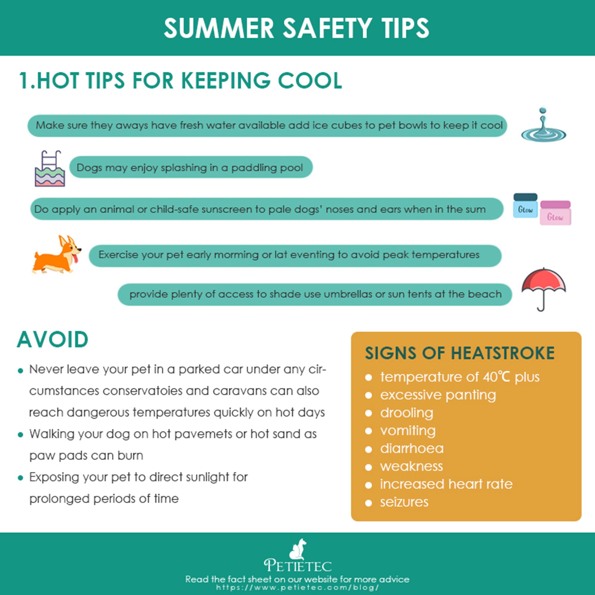 How to Keep Dogs Cool In Summer - 8 Tips | petietec