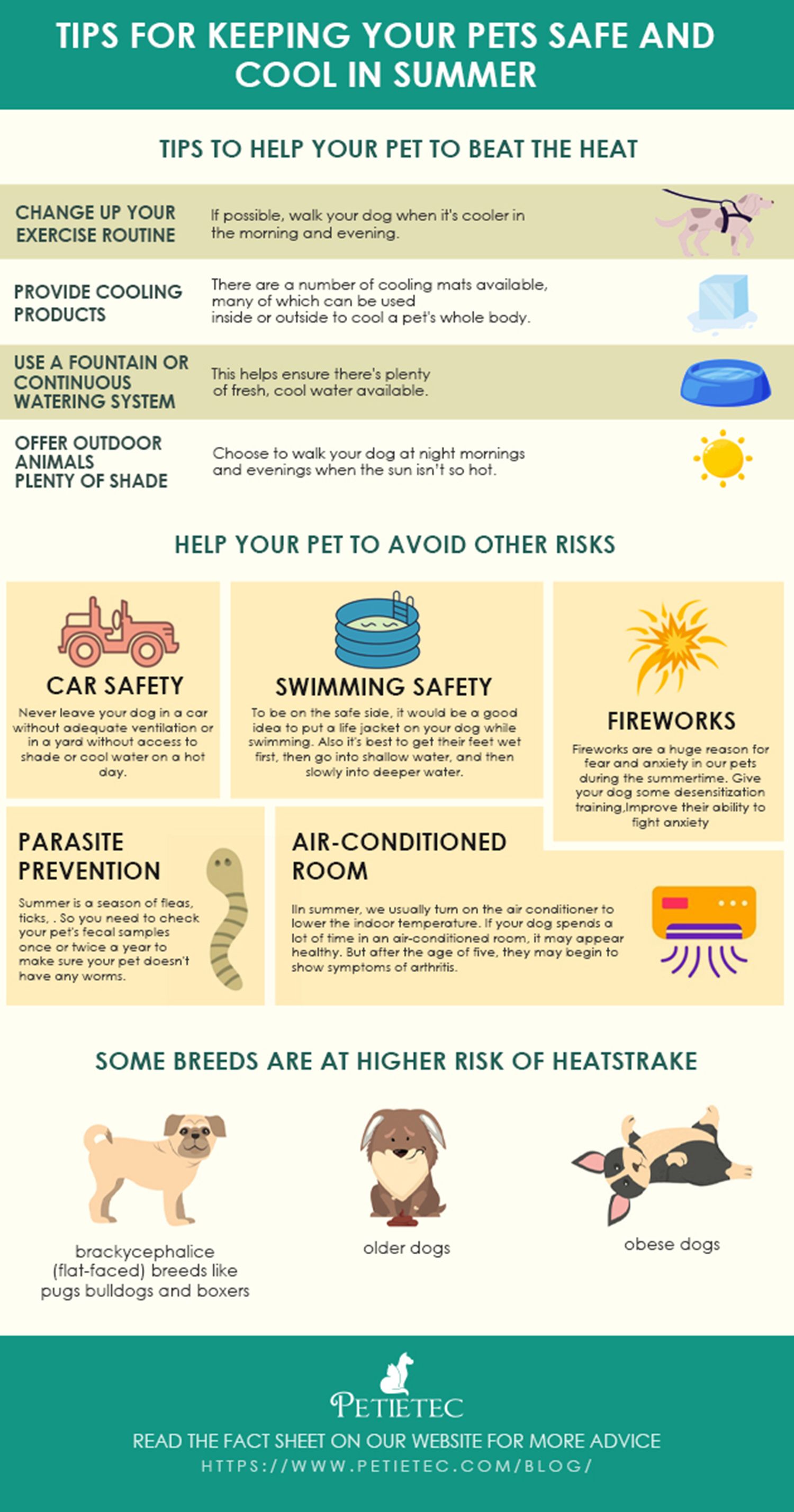 How to Keep Dogs Cool In Summer - 8 Tips | petietec