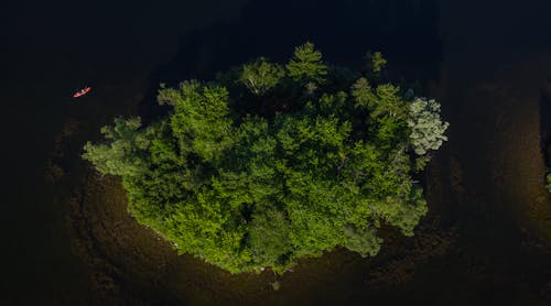 Základová fotografie zdarma na téma kajak, kánoe, letecká fotografie