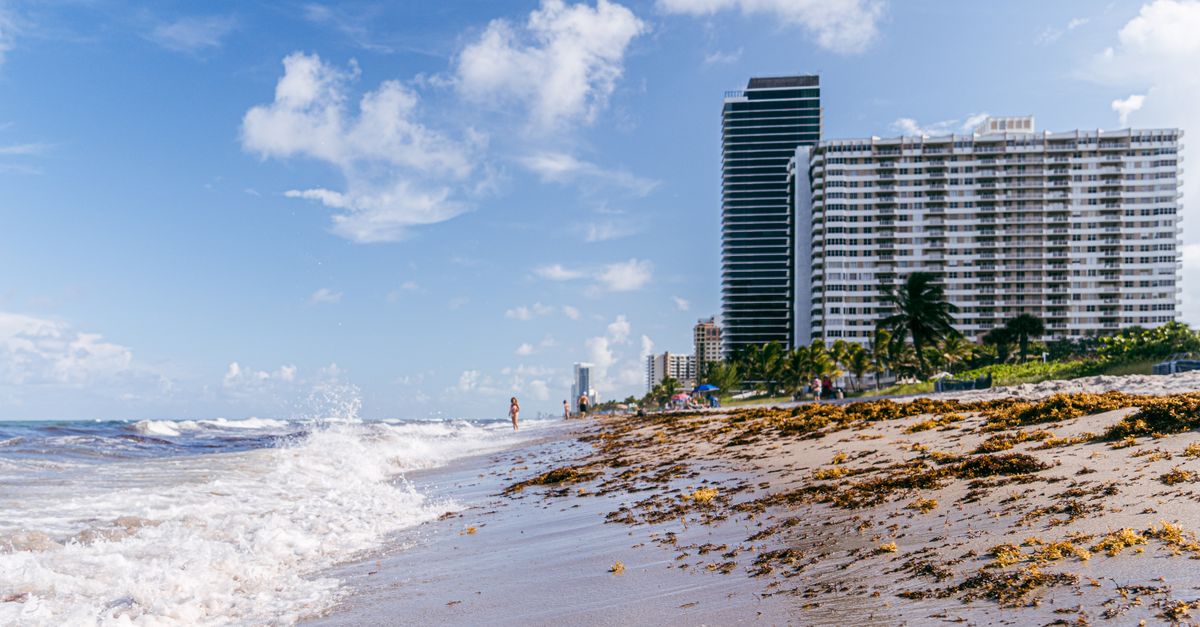 Hallandale Beach featuring waves, seashore, and modern buildings under a blue sky.