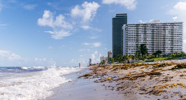 Hallandale Beach featuring waves, seashore, and modern buildings under a blue sky.