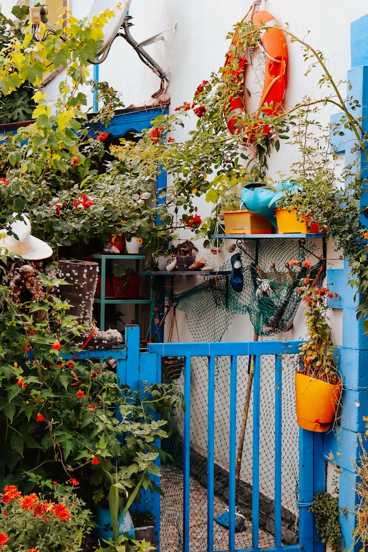 Flowers In Yard