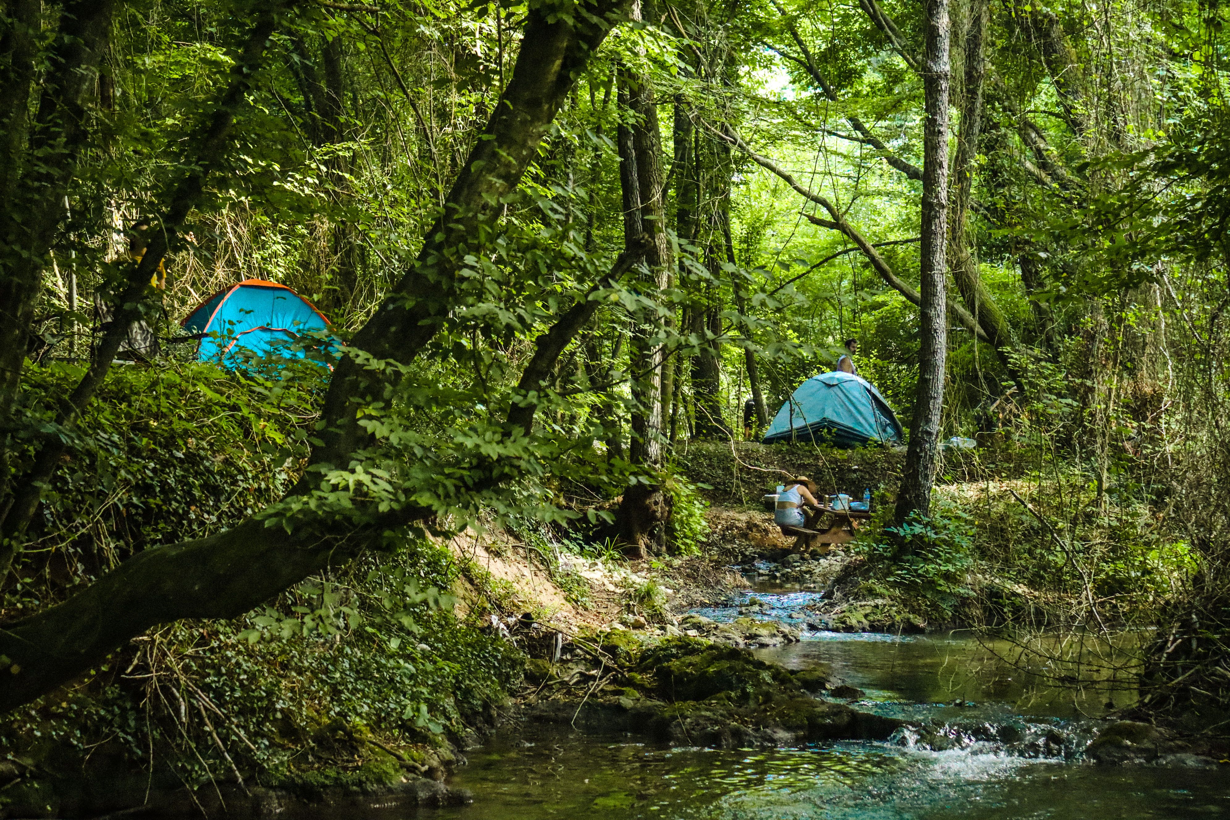 Photo of Tent in Rainforest · Free Stock Photo