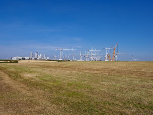 Free Wide view of cranes in a rural field under clear blue sky. Stock Photo