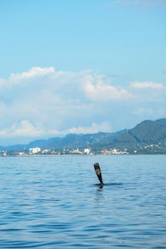 Serene view of a lake with distant mountains and a lone tree stump emerging from the water.