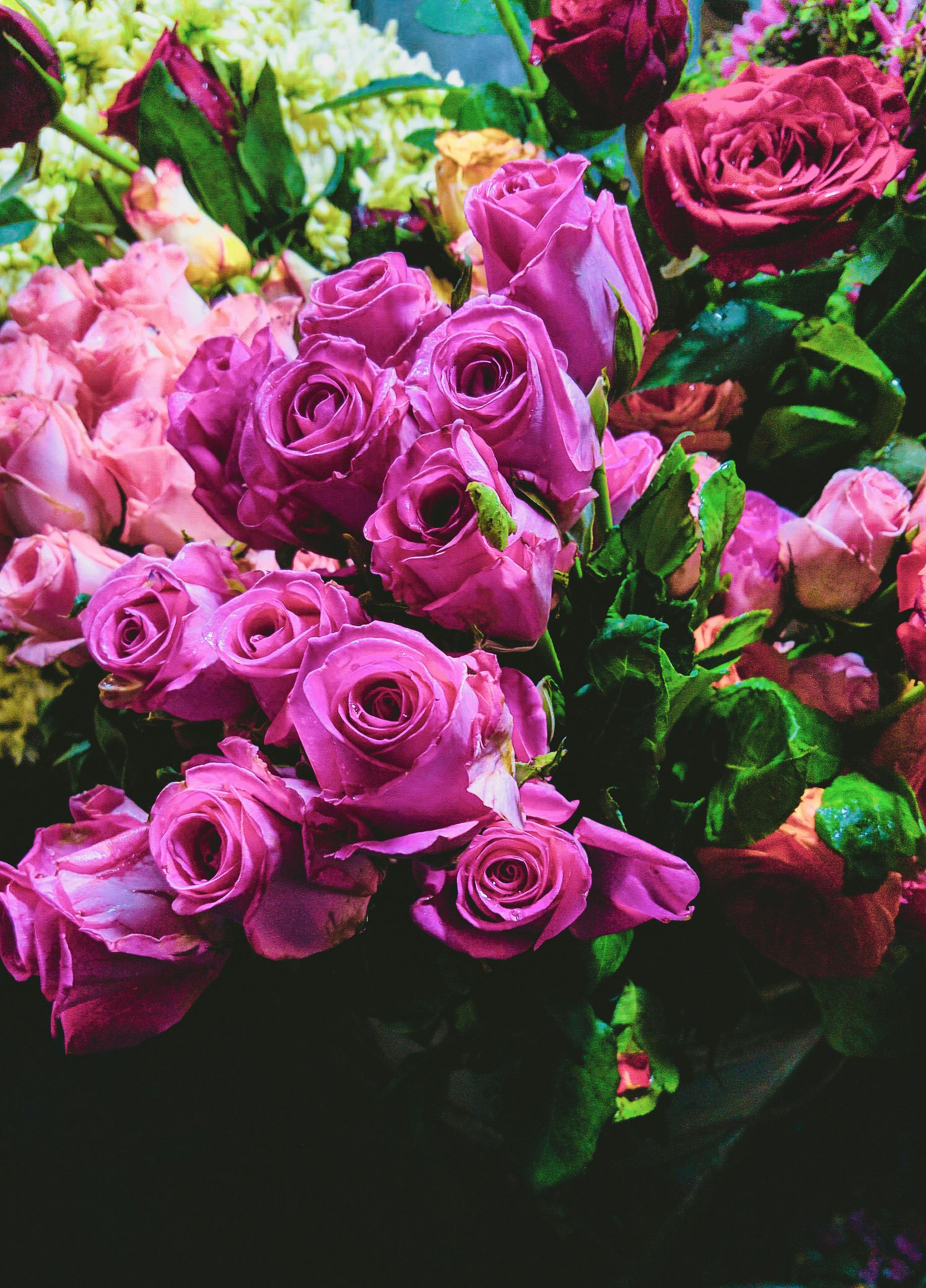 Free stock photo of beautiful flowers, bunch of flowers, pink roses