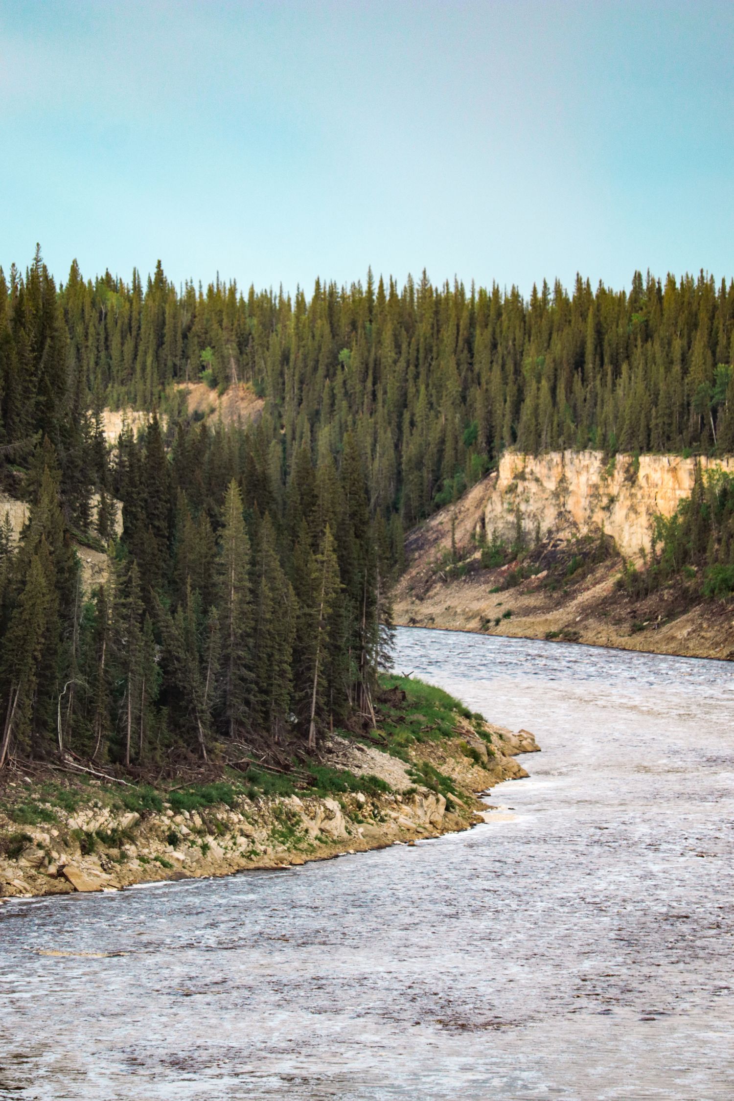 Chinook complete one of the longest salmon migrations on Earth.