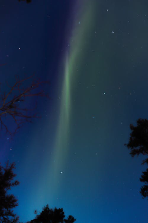 Ilmainen kuvapankkikuva tunnisteilla aurora borealis, ilta, puut