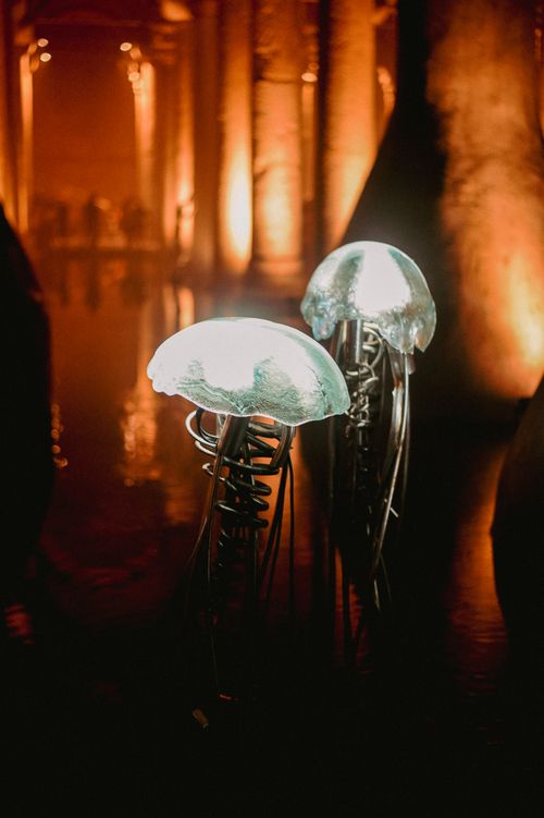 Sculpture of Jellyfishes in Red Light · Free Stock Photo