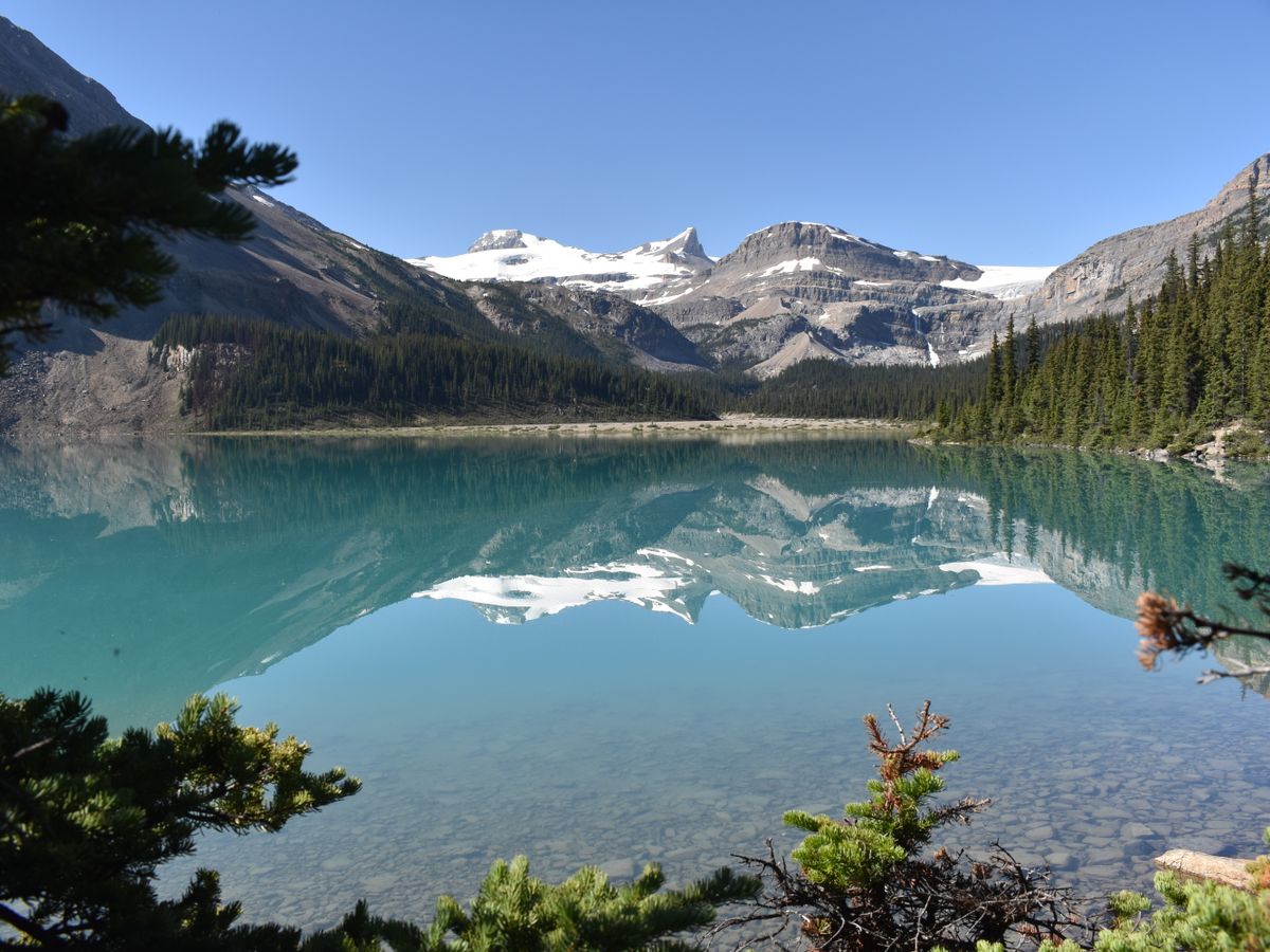 6 Day Yoga Retreat & Nature Adventure in British Columbia, Canada 1