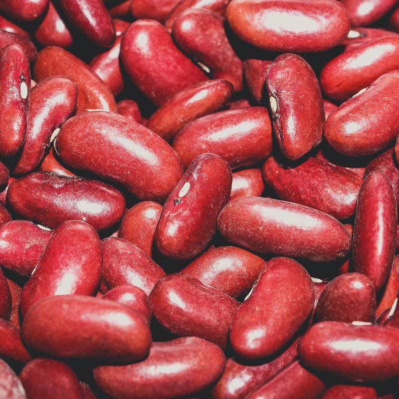 One-Pot Red Kidney Bean and Roasted Tomato Dip